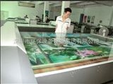 爱普生昆明玻璃背景墙彩印机厂家