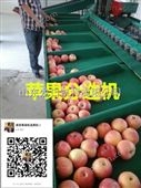 xgj-zz-2北京苹果分选机 苹果选果机的*报价