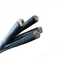 CY(TR)-TP-0B-1*2*0.5特种电缆