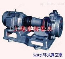 上海岩湖SZB悬臂真空泵