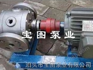不锈钢保温圆弧齿轮泵现货供应--宝图泵业